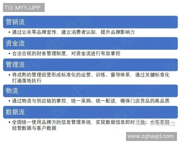 广州排球队的速度变革引发热议全新战术与训练模式的探索与实践